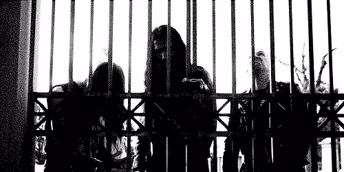 OF FEATHER AND BONE + CIVEROUS | MUSICON, DEN HAAG