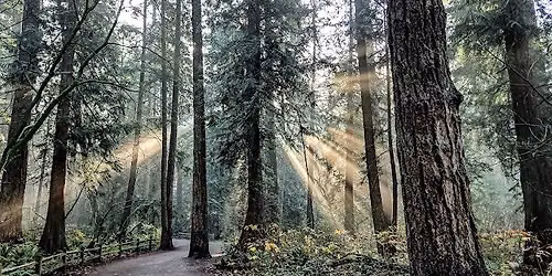 Central Park to Byrne Creek Ravine Walk