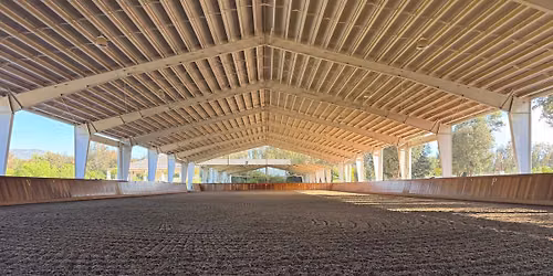 Lilo Fore Dressage Clinic