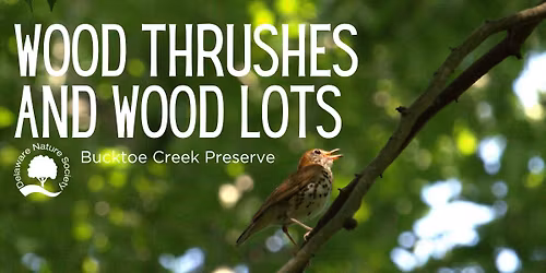 Wood Thrushes and Wood Lots ~ Bucktoe Creek Preserve