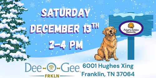 Meet & Greet: Magnificent Misfit Mixes & Goldens Too!