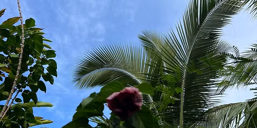 2 Day Couples Intensive Workshop Key West, FL