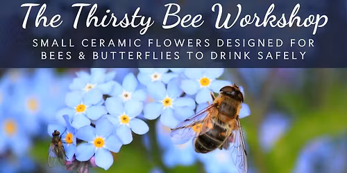 The Thirsty Bee Workshop