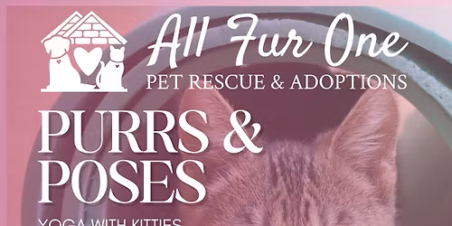 AFO Purrs & Poses Yoga