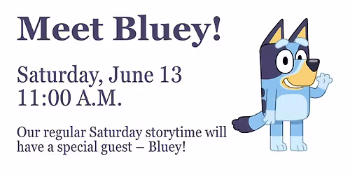Meet Bluey