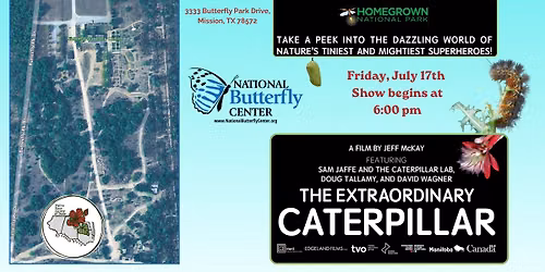 The Extraordinary Caterpillar at The National Butterfly Center