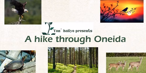 A Hike Through Oneida