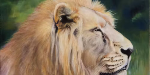 Create a wonderful Lion drawing in soft pastels with artist Paul Holmes: \u00a375