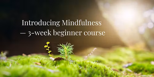 Introducing Mindfulness \u2013 3-Week Beginner Course in Southsea