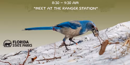 Guided Jaywalks at Blue Spring State Park