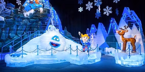 ICE at Gaylord Palms Trip