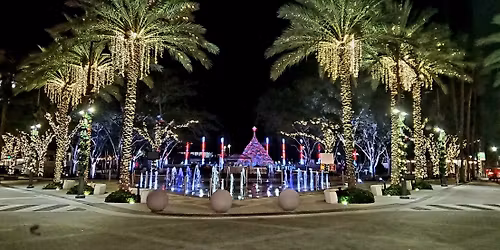 Palm Beach After Dark: Holiday Lights Ride \u2728\ufe0f 