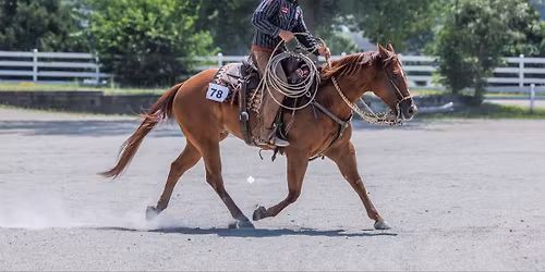 Building the Versatility Ranch Horse with Cowboy Adventures 