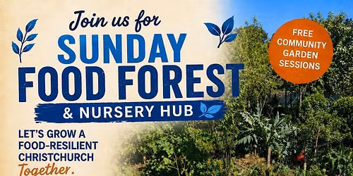 Food Forest & Nursery Hub