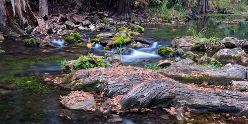 Honey Creek Guided Walks with Ranger Gil