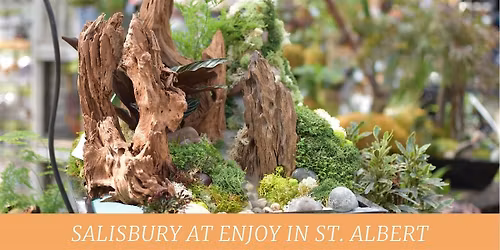 Penjing Planter | Salisbury at Enjoy | St. Albert