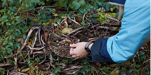 Foraging Ideas, Farming Knowledge and Fermenting Cultures Workshop