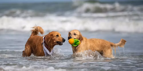 8th Annual Jupiter Golden Jubilee Oct 31-Nov 1