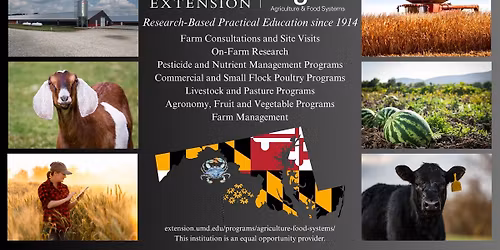 Backyard Farming In-Person at The Mill of Salisbury