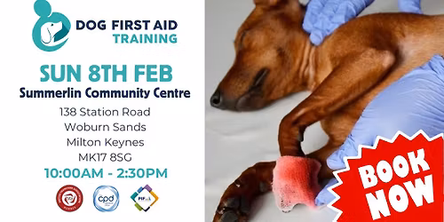 Woburn Sands - Milton Keynes Dog First Aid Training \ud83d\udc3e\ud83d\udc36