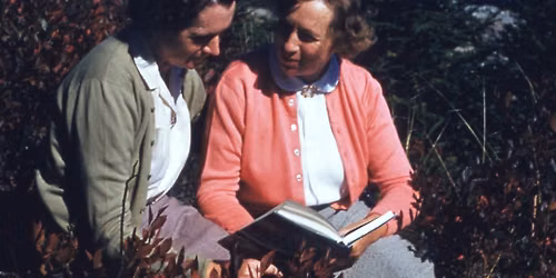 OUT in Nature: Rachel Carson Talk and Walk