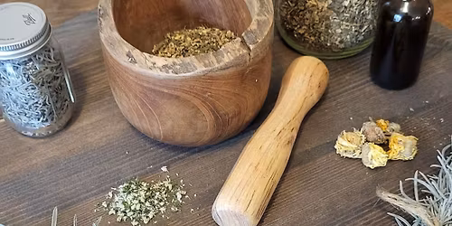 Boost Your Immunity with Herbal Teas