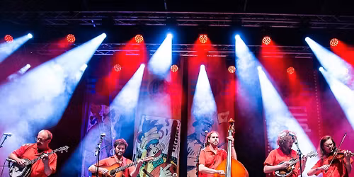 Chicken Wire Empire at Hey Nonny!