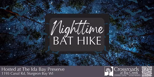 Nighttime Bat Hike