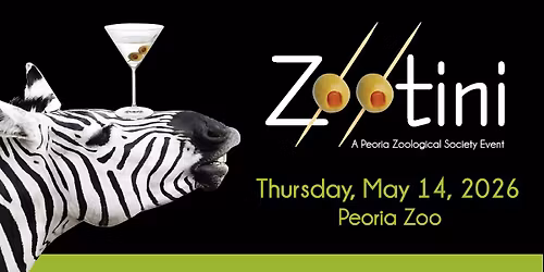 Zootini 2026