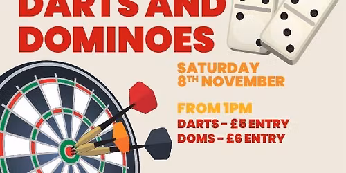 Charity darts and domino\u2019s day