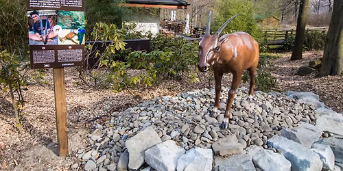 B\u011bh Zoo Ostrava pro saolu