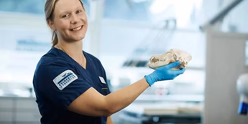 Foredrag: Helse, tannhelse og adferd \u2013 hva b\u00f8r du vite som hundeeier?