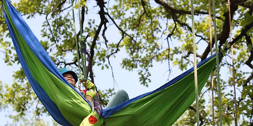 Open Climb - Recreational Tree Climbing