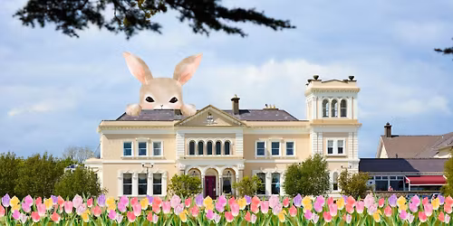 Easter Sunday Carvery Lunch