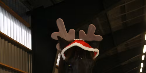 Førjulsgøy i ridehallen 