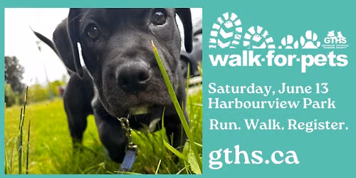 Walk for Pets
