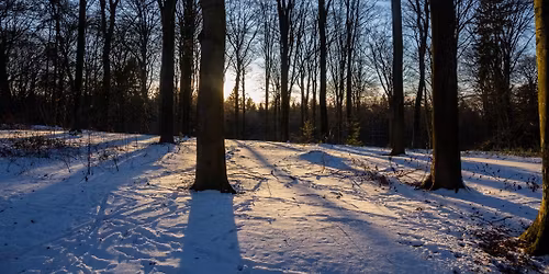 Ensemble Ut Sol: Winter