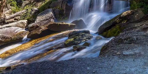 Landscape & Wildlife Photography