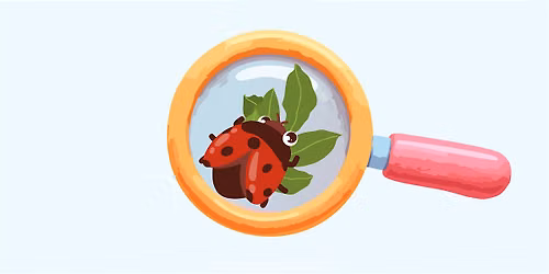 Summer Preschool Program: Bugs Don't Bug Me