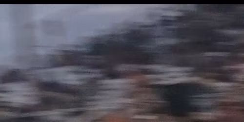 Flat track race Shelby County Fairgrounds