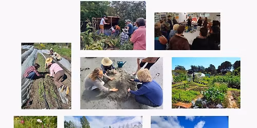 2026 Permaculture Design Certificate