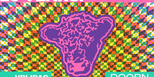 Galloway Studio 20 Years! 