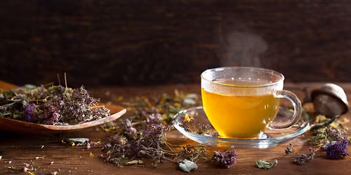 Botanical Blends Workshop