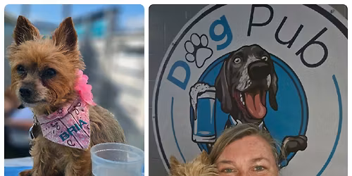 Yorkies of Clearwater May Meet-Up