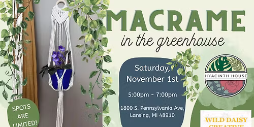 Macrame Plant Hanger Class at Hyacinth House - Wild Daisy Creative