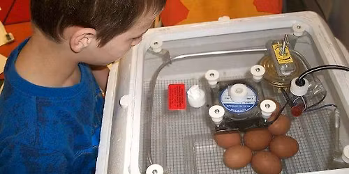 Region 6 Member Meeting\/Poultry Show