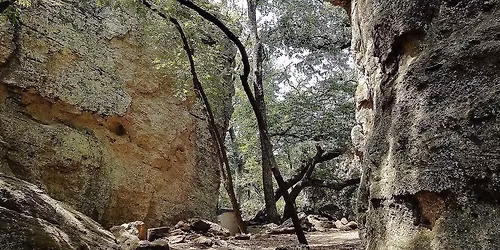 Storytelling Down In The Hollow