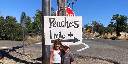 Opening Day of Peach Season