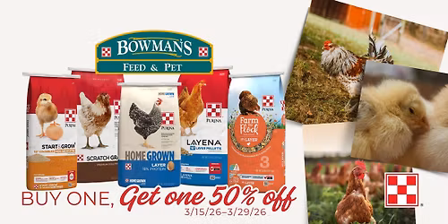 Chick & Hen Feeds Sale 🐣