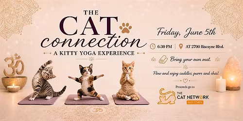Yoga with Cats: The Cat Connection